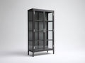 Vitrinas de metal con puertas de vidrio 85x40x170 cm - Negro y transparente - estilo industrial para salón