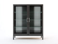 Vitrinas de metal con puertas de vidrio 100x40x160 cm - Gris antracita y transparente - diseño moderno para salón